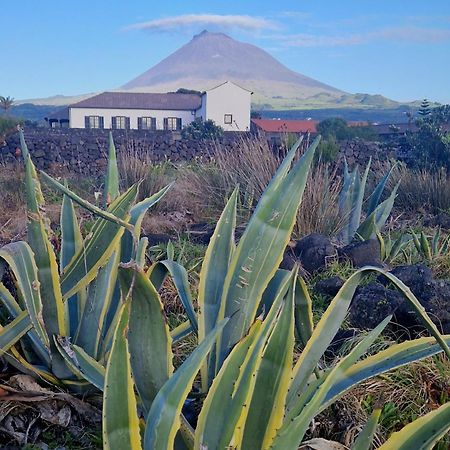 Criacao Velha Solar Dos Limasヴィラ エクステリア 写真