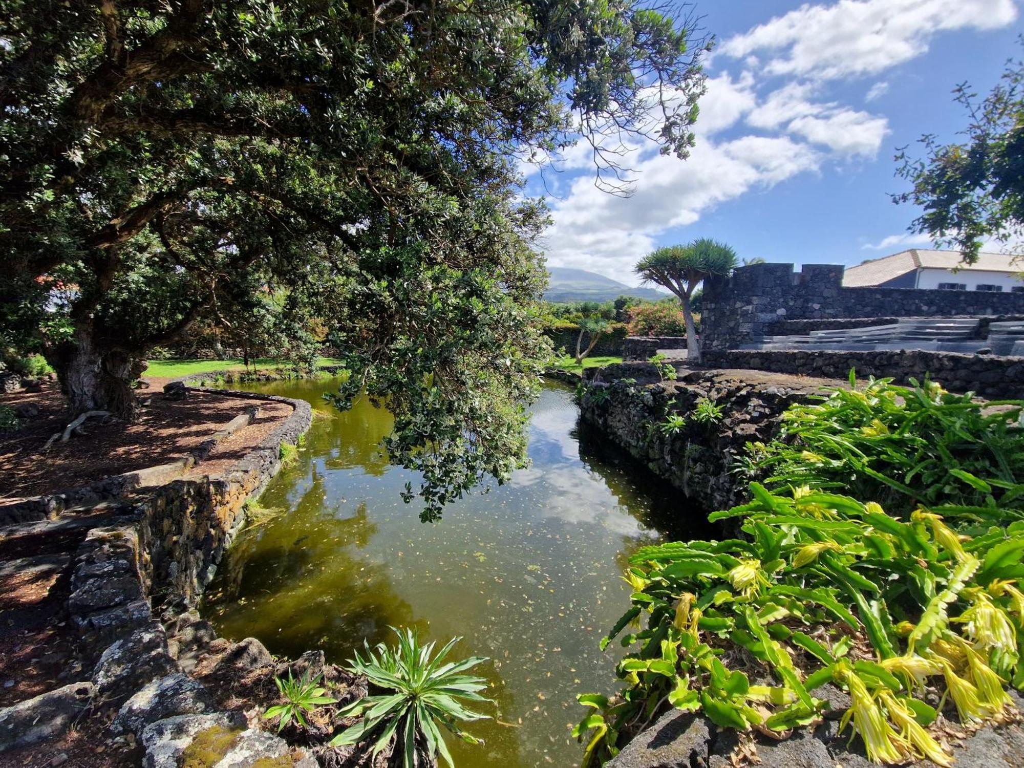 Criacao Velha Solar Dos Limasヴィラ エクステリア 写真